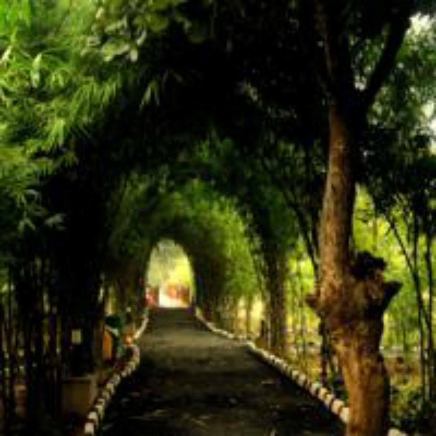Lemon Tree Wildlife Resort, Bandhavgarh Tala  Экстерьер фото